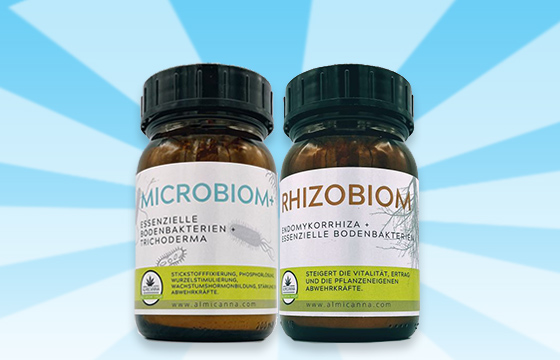 Mykorrhiza und Trichoderma