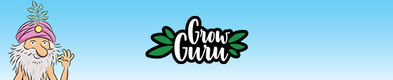 Grow Guru Service-Angebot