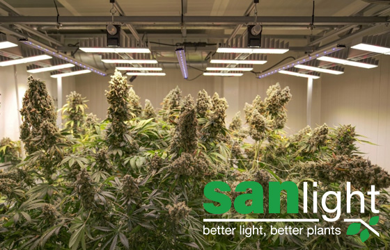 SANlight UV-Grow