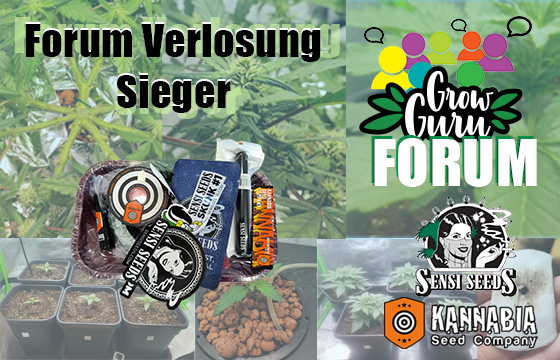 Sieger der Verlosung von Sensi seeds und Kannabia Promotion Packs