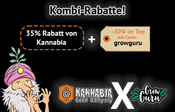Rabatte kombinieren und dick sparen!