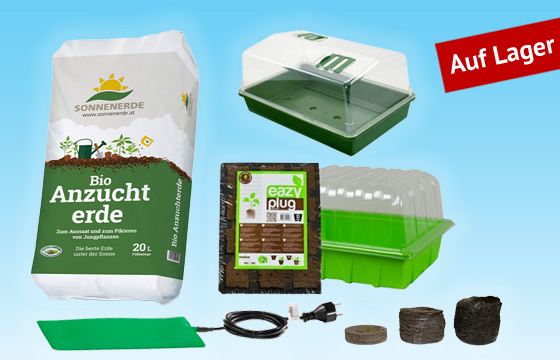 Alles rund um die Anzucht Deiner Lieblingspflanze