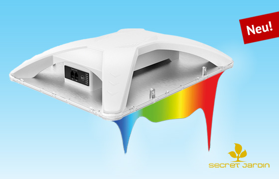 LED mit Spitzeneffizienz zum Nice-Price