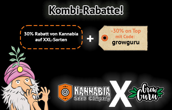 30% Rabatt auf ertragreiche Samen von Kannabia