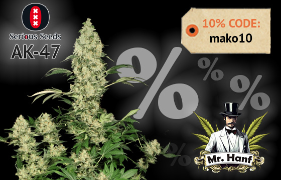 10% Rabatt bei Mr.Hanf - Jede Menge Breeder!
