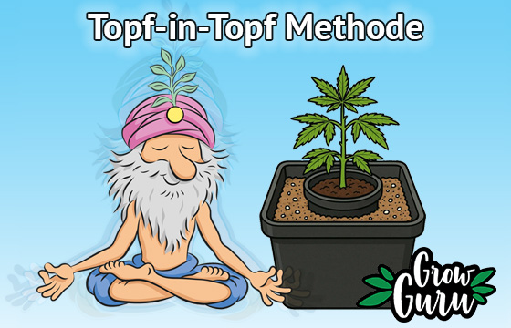 How-To: Mit der Topf-im-Topf Methode stressfrei umtopfen