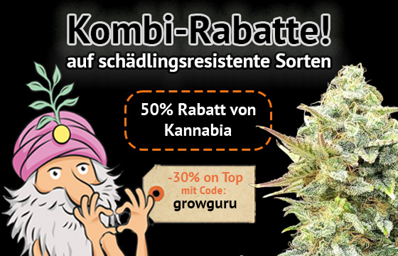 Kombi-Rabatte bei Kannabia auf schädlingsresistente Sorten