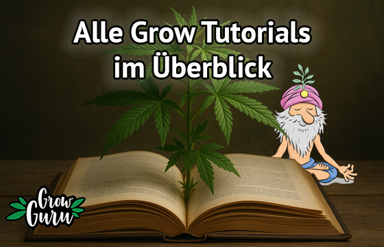 Alle unsere Grow-Tutorials in der Übersicht