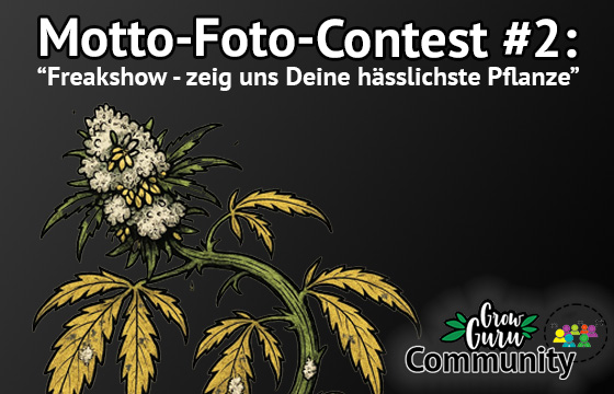 Neuer Motto-Foto-Contest: Freakshow - zeig' uns Deine hässlichste Pflanze