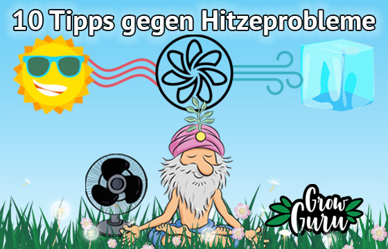 Alle unsere Grow-Tutorials in der Übersicht