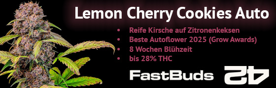 30% Rabatt bei Kannabai mit Code